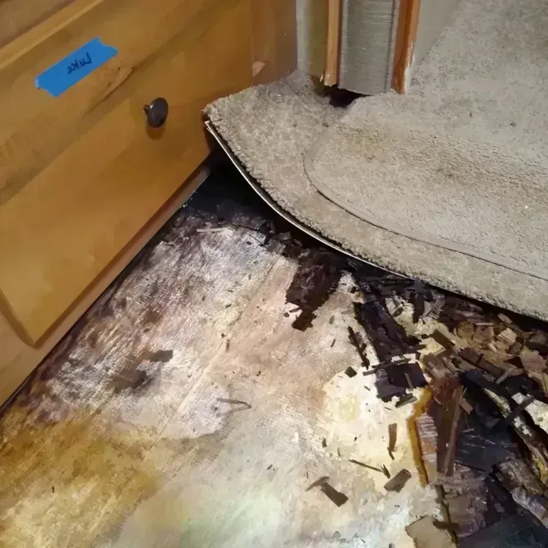 Wood Floor Water Damage in Boone County, AR